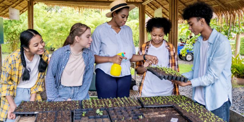 adult and four teenagers outside with plant seedlings in trays