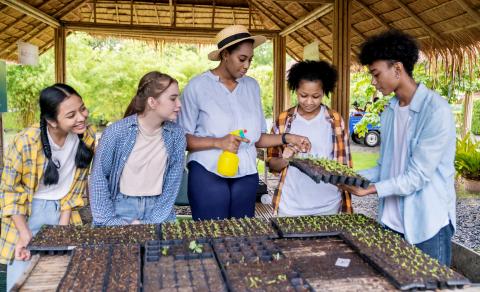 adult and four teenagers outside with plant seedlings in trays